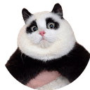 $Mochi
