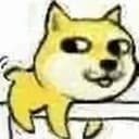 乐乐狗