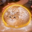Doughcat