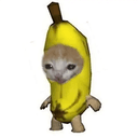 bcat