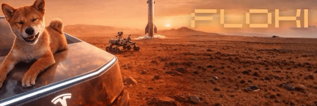 Floki Elon's Dog Banner