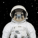 Falcon9