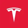 Tesla AI