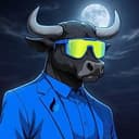 bullover