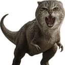 DINOCAT