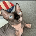 Nala