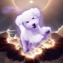 DIVINEDOG