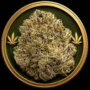 NUG
