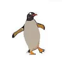 pinguim
