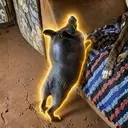 Chumbinho