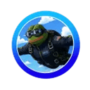 AIRFROG