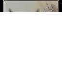 DABLOON