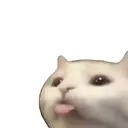 :p