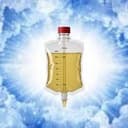urine