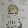 ASTRODOGE