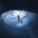 Diver