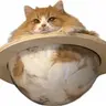 CATURN
