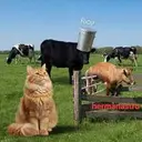 STUCK