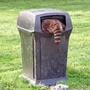 TRASH