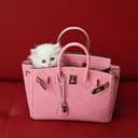 birkin