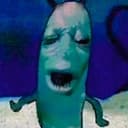 plankton