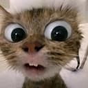 RPCAT