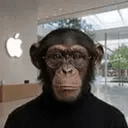 AAPL