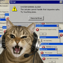 CATRUN