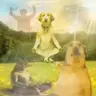 Ascend