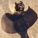 blob