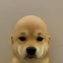 Wifout