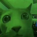 MarketCat