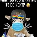 NOSHEEP
