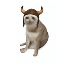 BULLCAT