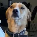 TimoCouch