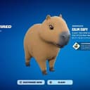 Capy