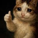 fomocat