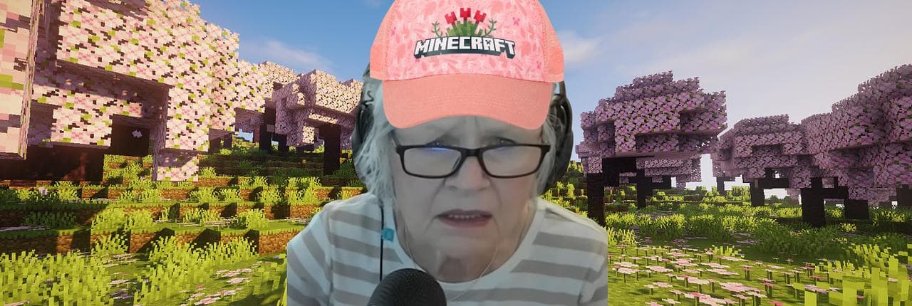 Minecraft Grandma Fund Banner