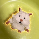 KIMUCHI