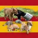 SPANISH