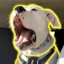 Petey