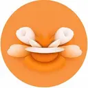 Lmaocoin