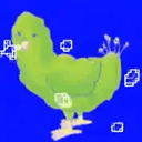 bird