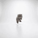 smol