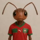 ImmigrANT