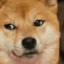 DOGE2