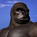 gorilla