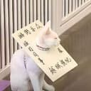 宁宁