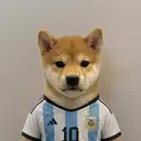 Fifur