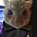 币基咪